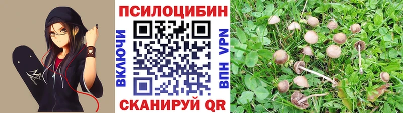 Псилоцибиновые грибы прущие грибы  Пугачёв 